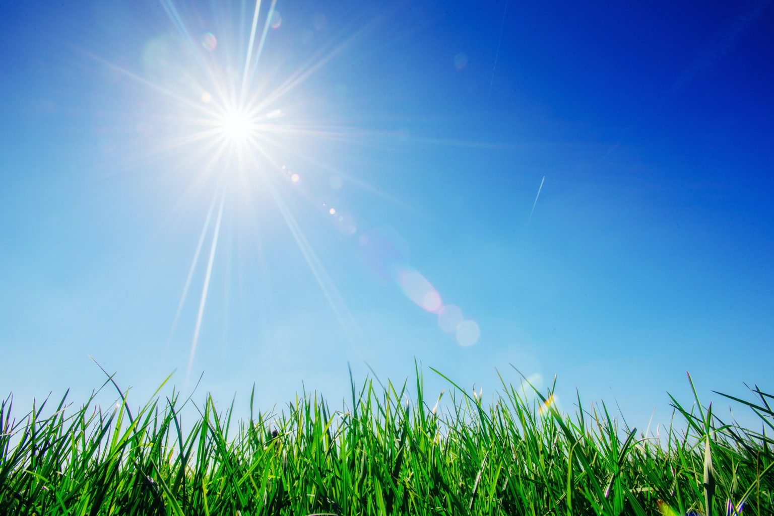 green grass with dew, bokeh background. Fantastic views of the beauty the world. green grass with dew, bokeh background. Fantastic views of the beauty the world.